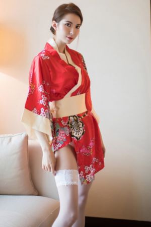 龙珠超国语版普通话