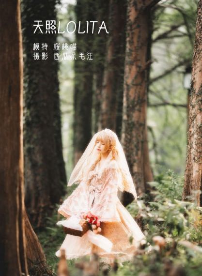 陈道明《胡雪岩》