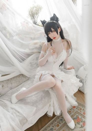成人美女视频在线观看