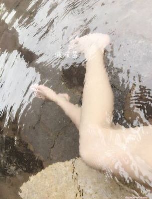 功夫特警电视剧在线观看免费