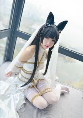 爱人同志 电视剧