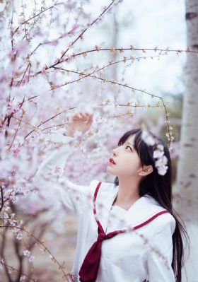 风月锦囊电视剧