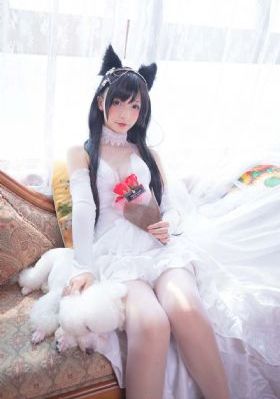 大唐女法医电视剧免费观看