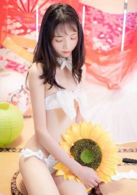 流星花园免费观看